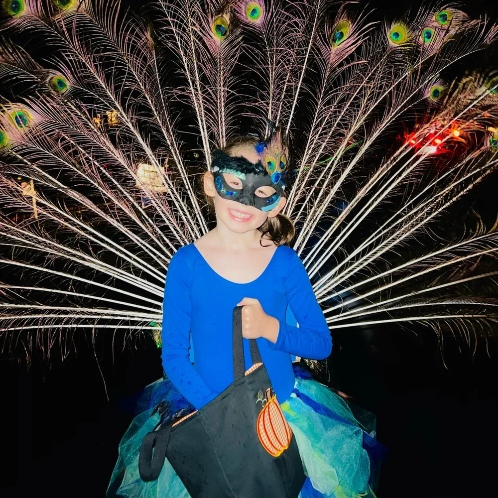 Handmade Peacock Costume Tulle Tutu Skirt and Fascinator – Girls Size 7 Dress-Up